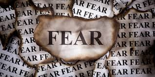 Navigating the Uncomfortable: Facing Our Fears in Youth